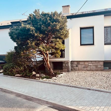 Relaxacni Studio Vera S Ubytovanim Valtice Exterior photo