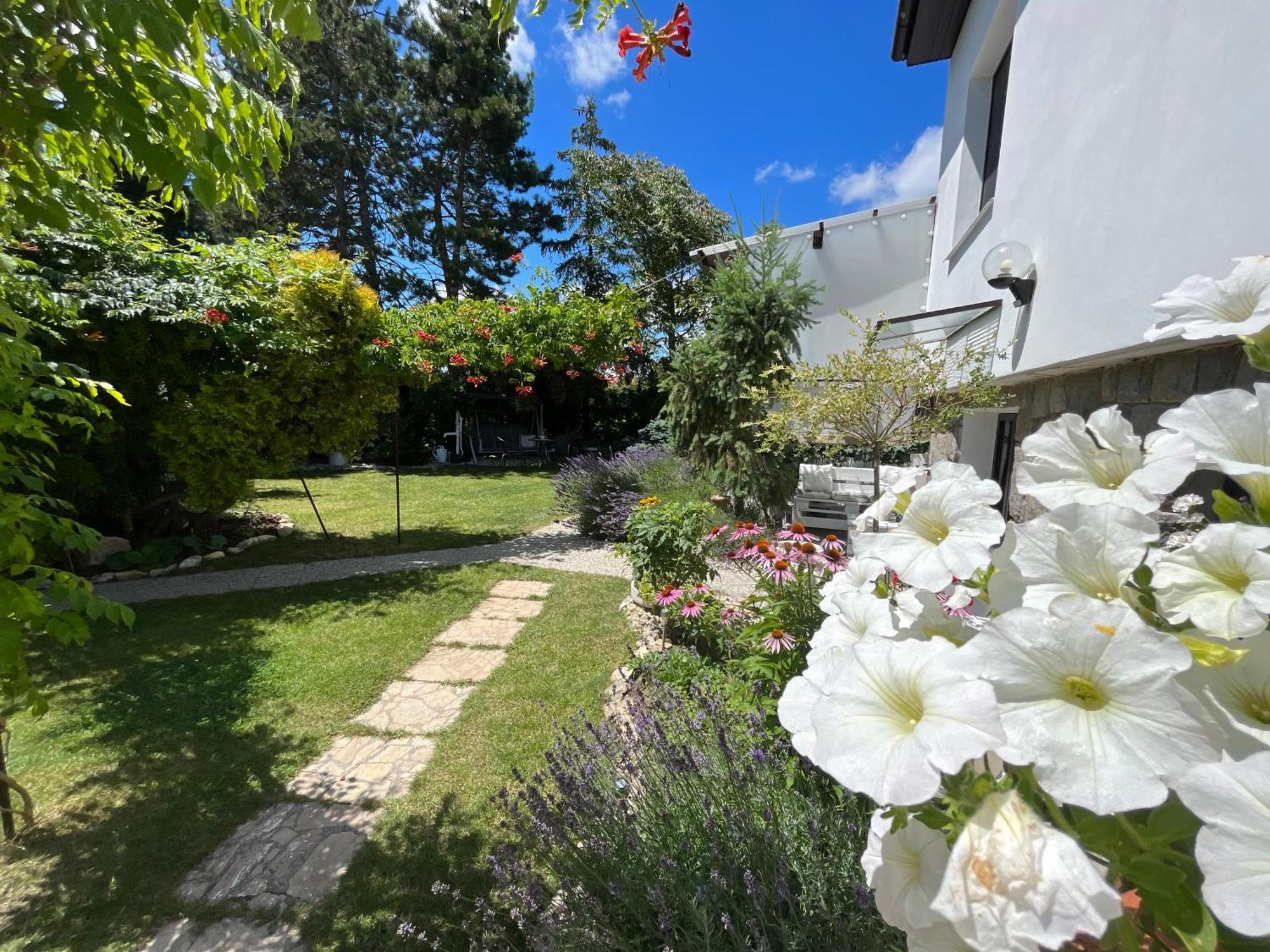 Relaxacni Studio Vera S Ubytovanim Valtice Exterior photo